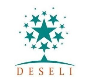 福建大森林文化傳播 連接傳統與現代的綠色紐帶